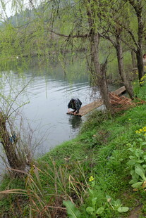 婺源河边垂钓者的悠然时光