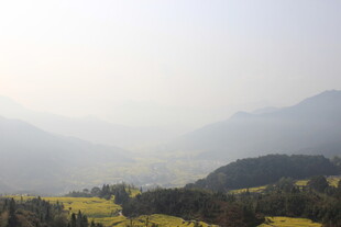 婺源山间田野美景