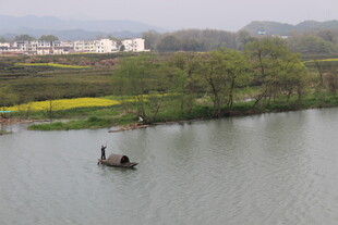 婺源湖上泛舟赏田园风光
