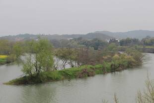 婺源河畔春色 绿意盎然的自然景