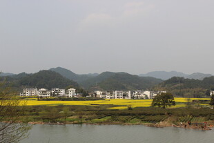 婺源田园水乡风光美景