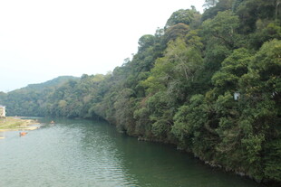 婺源青山环抱的宁静河流