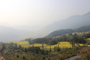 婺源山间油菜花海美景