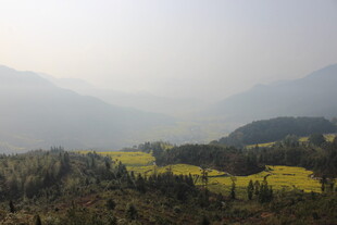 婺源山间油菜田 自然美景
