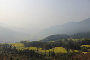 婺源山间油菜田 春日好风光