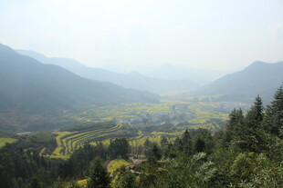 婺源山间绿野风光