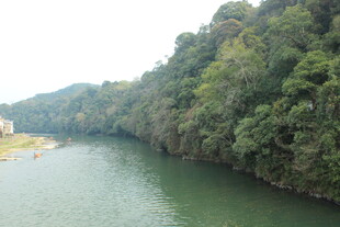 婺源青山环抱的宁静河流