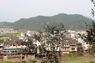 婺源徽派村落风光