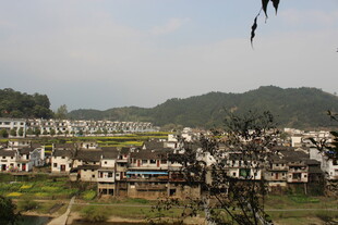 婺源江南乡村田园风光景致