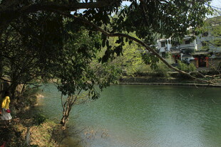 婺源湖畔绿树环绕的宁静风光