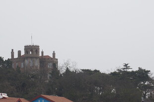 山顶城堡隐于树林间
