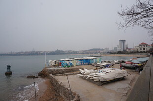 海滨停靠的多彩船只景观