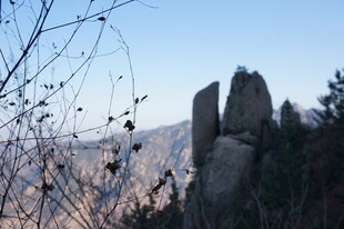 山间奇石与萧瑟树枝景观