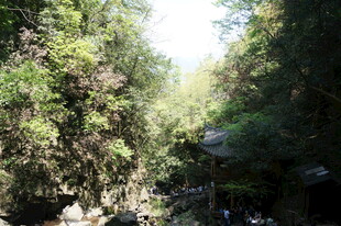 山林间的静谧自然景致