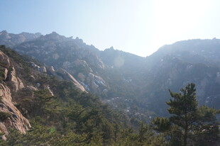 壮丽山景 阳光照耀林间