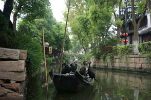 水乡小船穿行于绿荫河道