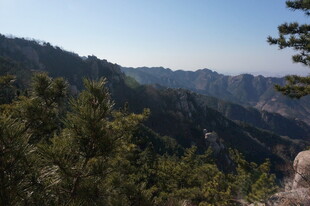 山间松林景色