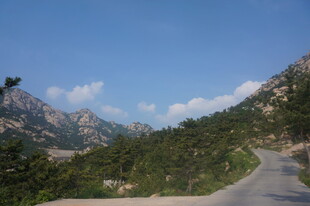 山间蜿蜒公路 绿意环绕