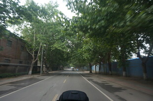 行驶在绿树成荫的道路上
