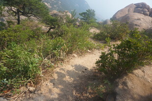 山间小径 绿植环绕的景致