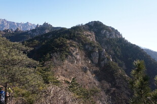 巍峨山峦间的葱郁景致