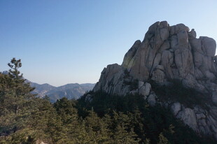巍峨山峰与葱郁林木