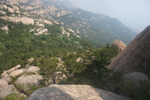 山峦绿意盎然的壮美景色