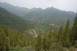 山间葱郁景色