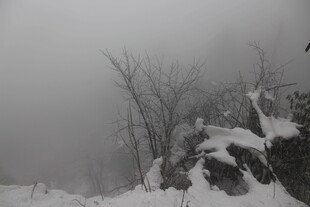 雪覆山峦 雾中枯树景致