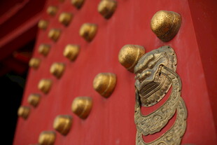中式红门金饰神兽浮雕