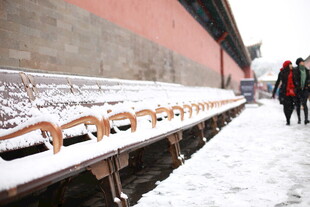 雪后故宫长椅旁行人漫步