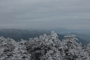 雪覆山林 雾霭中的冬日盛景