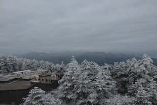 雪覆山林的静谧冬日景象