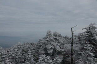 雪覆山林 冬日静谧景致