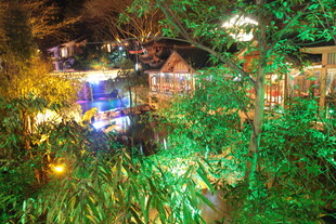 夜间绿植环绕的梦幻小屋