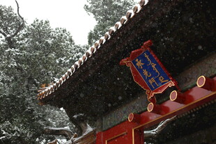 雪覆古建屋檐 牌匾醒目