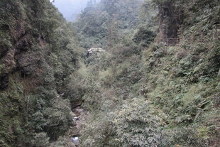 山间幽深峡谷美景