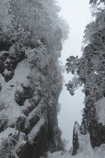 雪覆山林美景