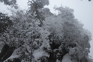 雪覆山林美景