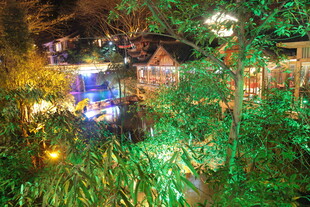 夜间绿植环绕的梦幻小屋