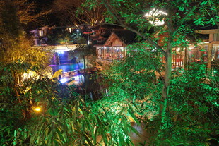夜间绿植环绕的梦幻小屋