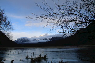 湖畔枯树与远山风景