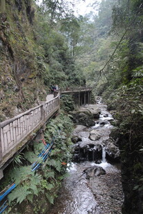 山间栈道伴溪流美景