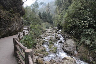 山间小径伴潺潺溪流