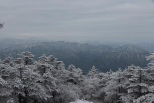 雪覆山林的静谧冬日景象