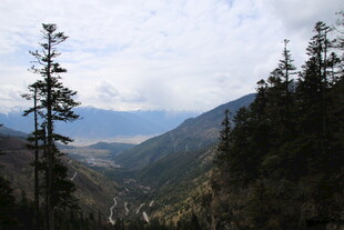 山间森林与远处山谷景观