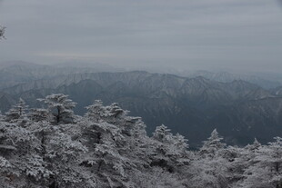 雪覆山林的冬日景致