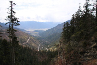 山间森林景色