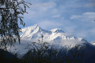 巍峨雪山与葱郁林木