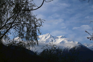 雪山远景 树枝点缀美景